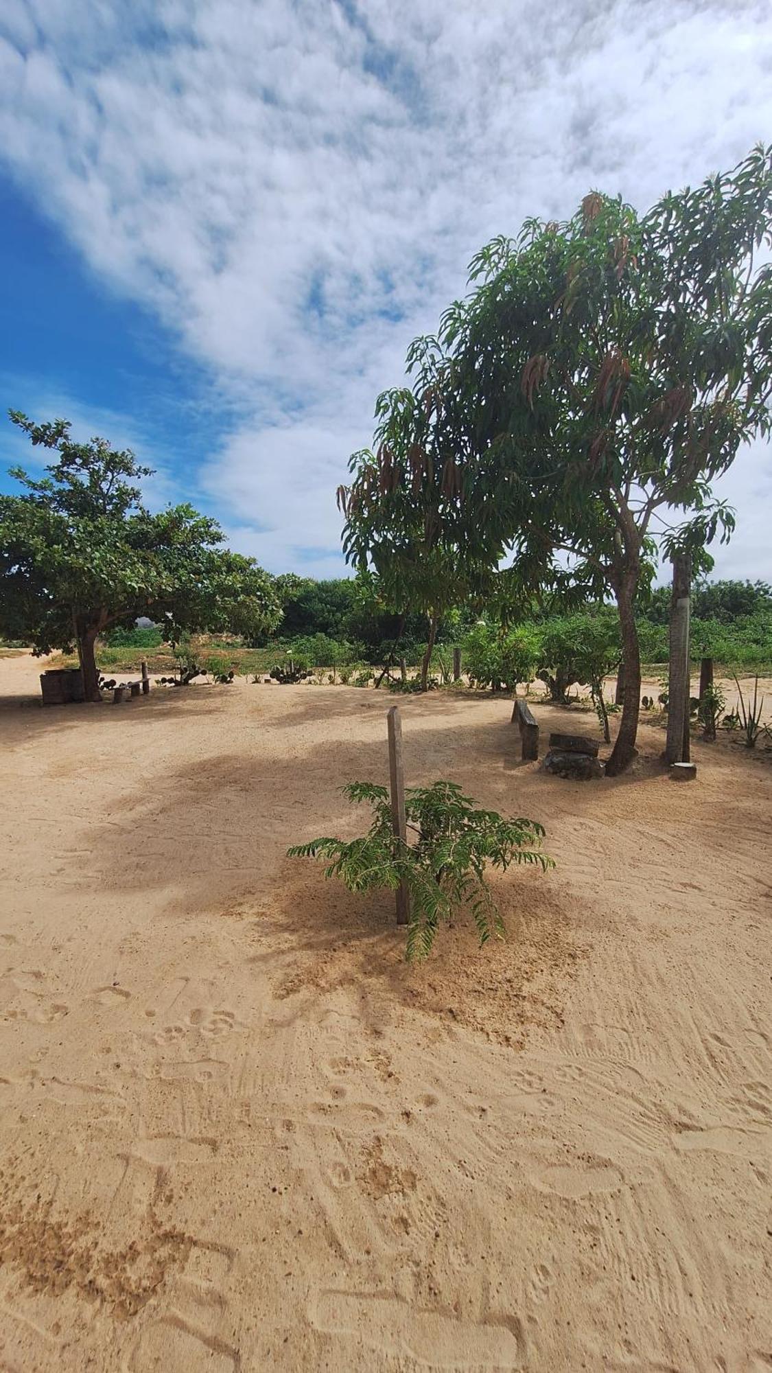 Pousada Maria Sara Jijoca de Jericoacoara Kültér fotó